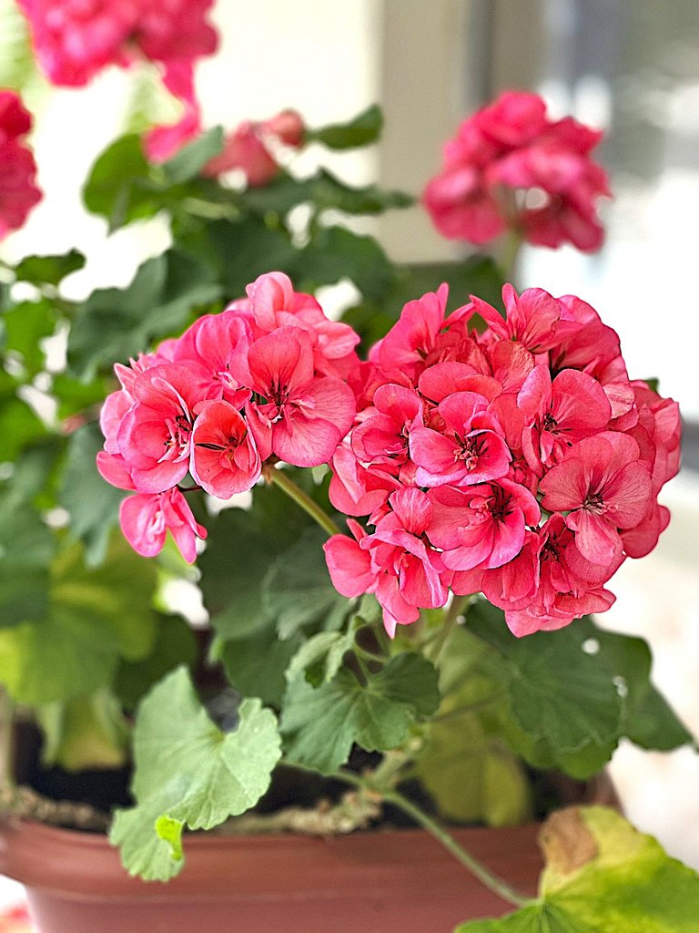 Amplo apart. com sacada, WiFi, Estacionamento, kit de praia,