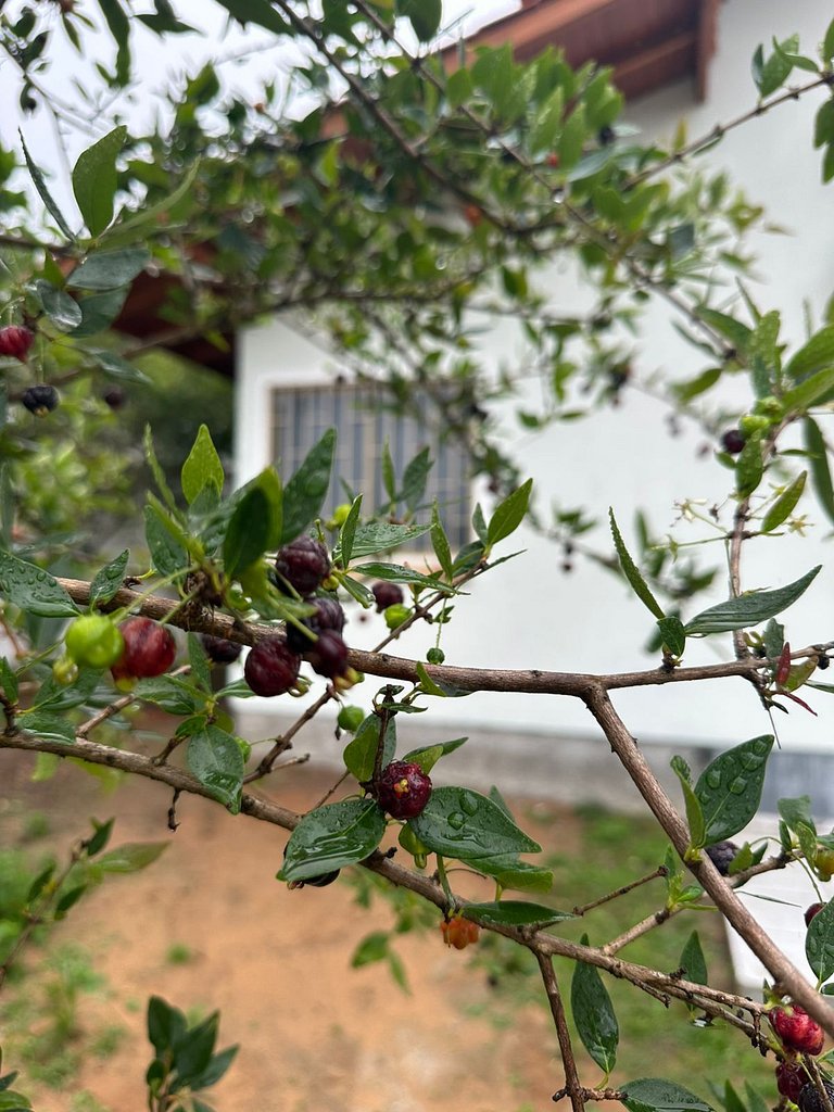 Recanto das pitangueiras